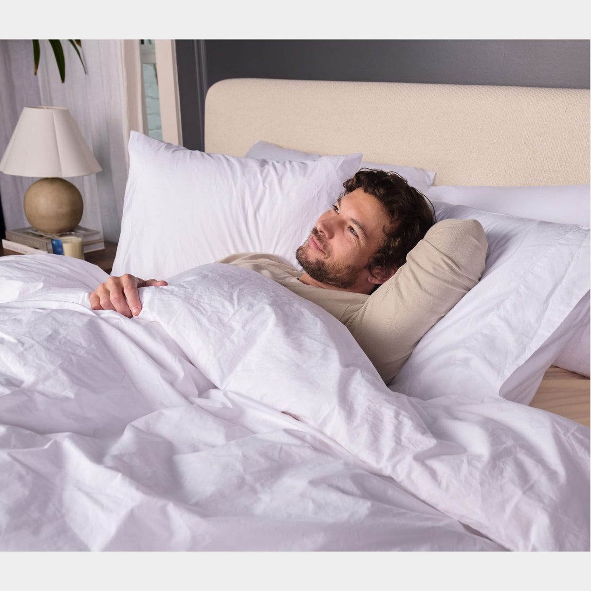 All Season Down Alternative Duvet Insert