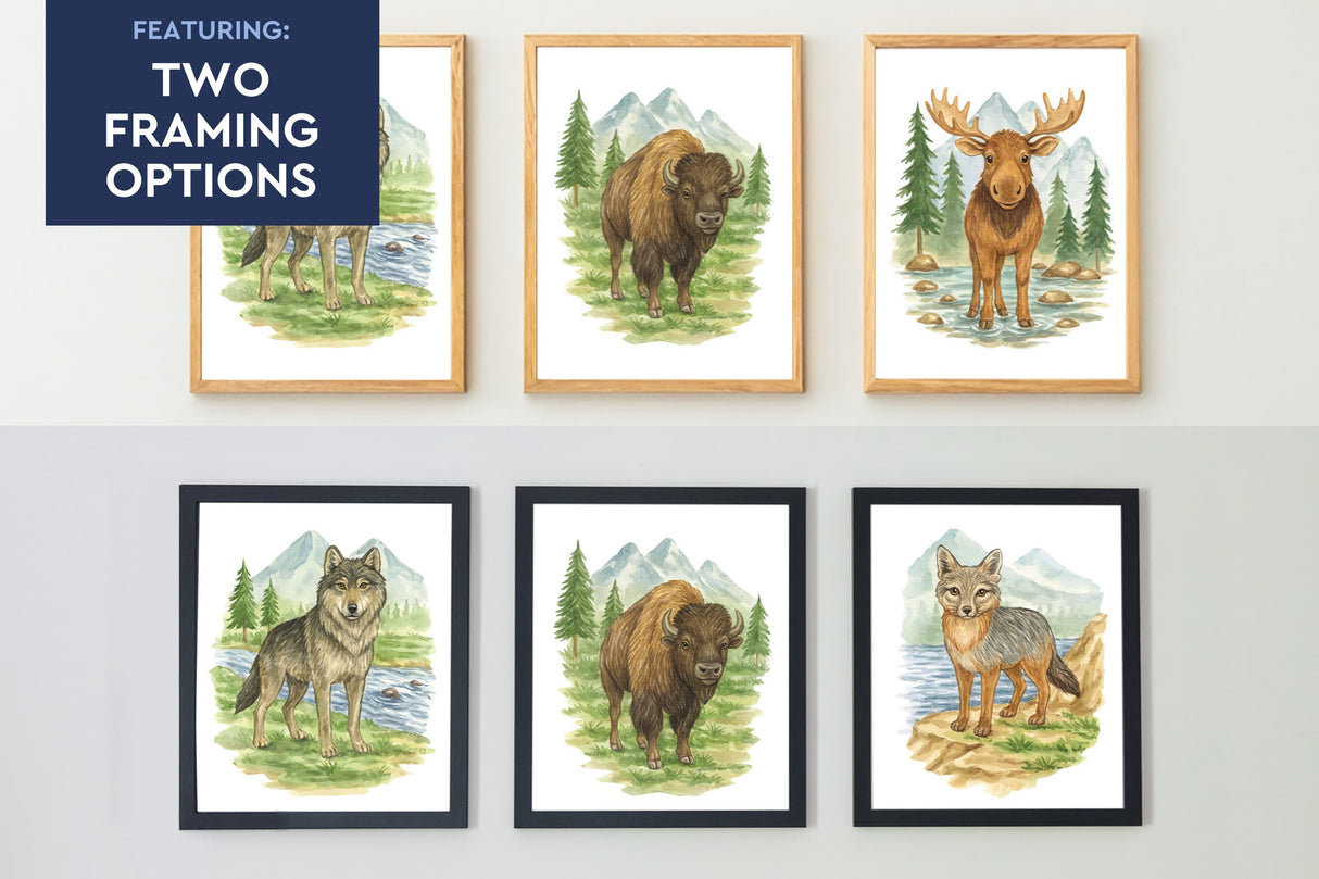 Wild Beasts Set of 5