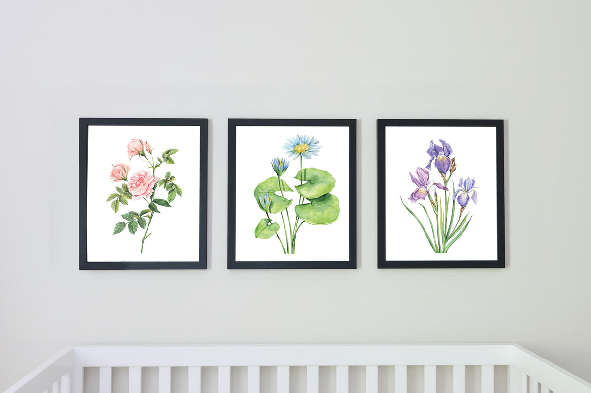 Watercolor Florals Art Print, Framed (12" x 16")