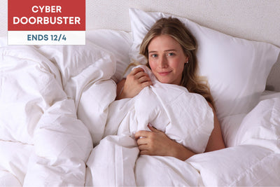 Down Alternative Duvet Insert