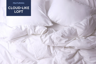 Down Alternative Duvet Insert