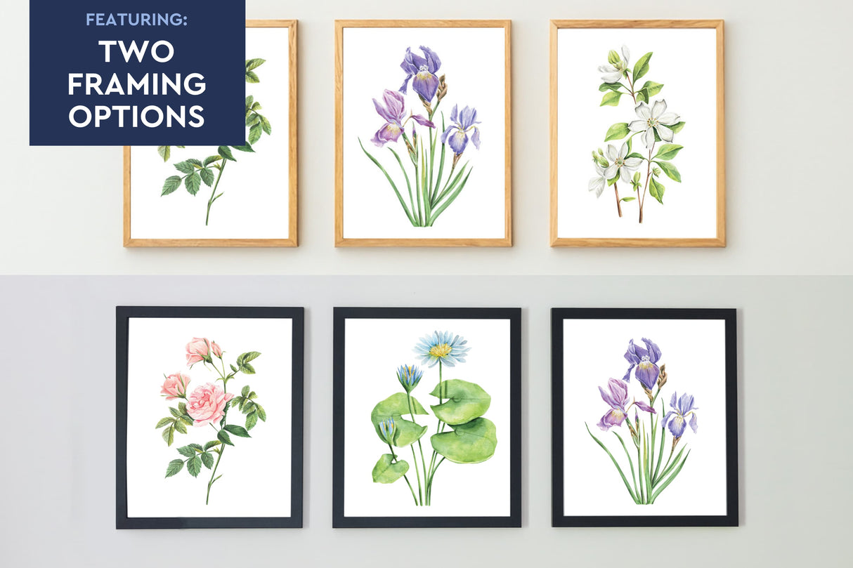 Watercolor Florals Set of 5