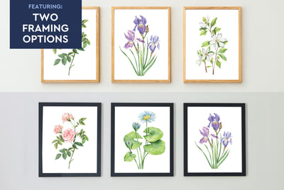 Watercolor Florals Set of 5