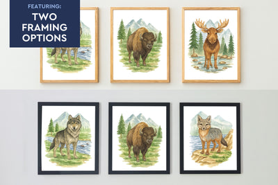 Wild Beasts Set of 5