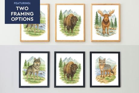 Wild Beasts Set of 5