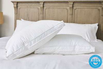 Cloud Fill Down Feather Side Sleeper Pillow pillow